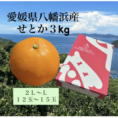 【ふるさと納税】愛媛県八幡浜産「せとか」3kg　サイズ2L～L/12玉～15玉【F79-28】【1698563】