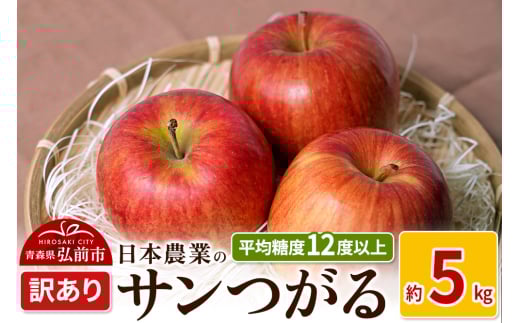 りんご 【先行受付】平均糖度12度以上！ サンつがる 約5kg 訳あり クール便