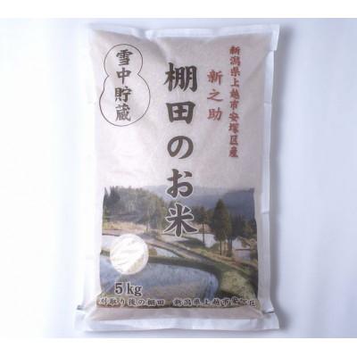 ふるさと納税 上越市 雪むろ棚田米新之助 5kg 精米 |  | 01