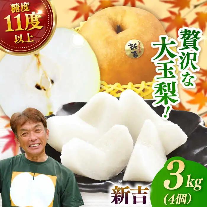 【2026年発送分 先行予約】【化粧箱入り】新吉（新高）4個入（約3kg） / 佐賀県 / 大川三世代 [41AEAB009]