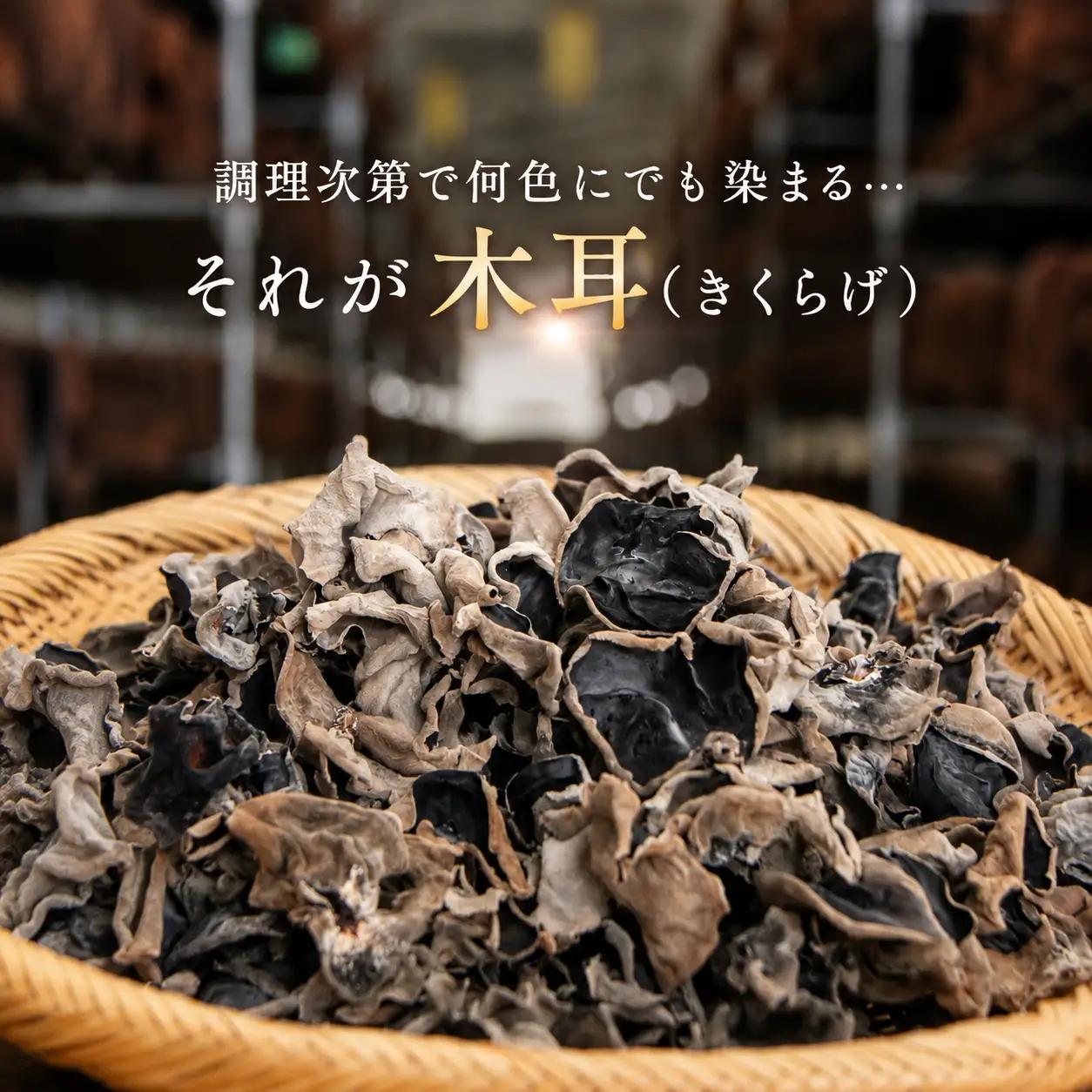肉厚 乾燥きくらげ 小分け120g（20g×6袋）｜国産 長期保存「マッシュルームベッドハウス」