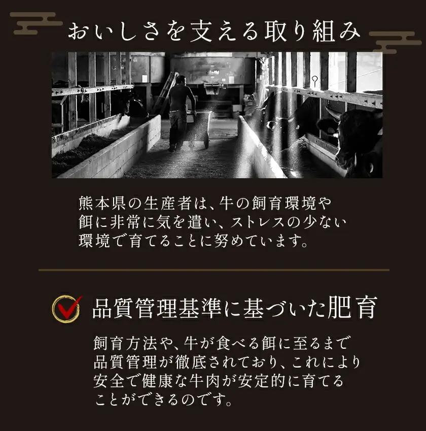 【ふるなびWEEK対象】黒毛和牛 霜降り スライス 600g すき焼き 牛肉