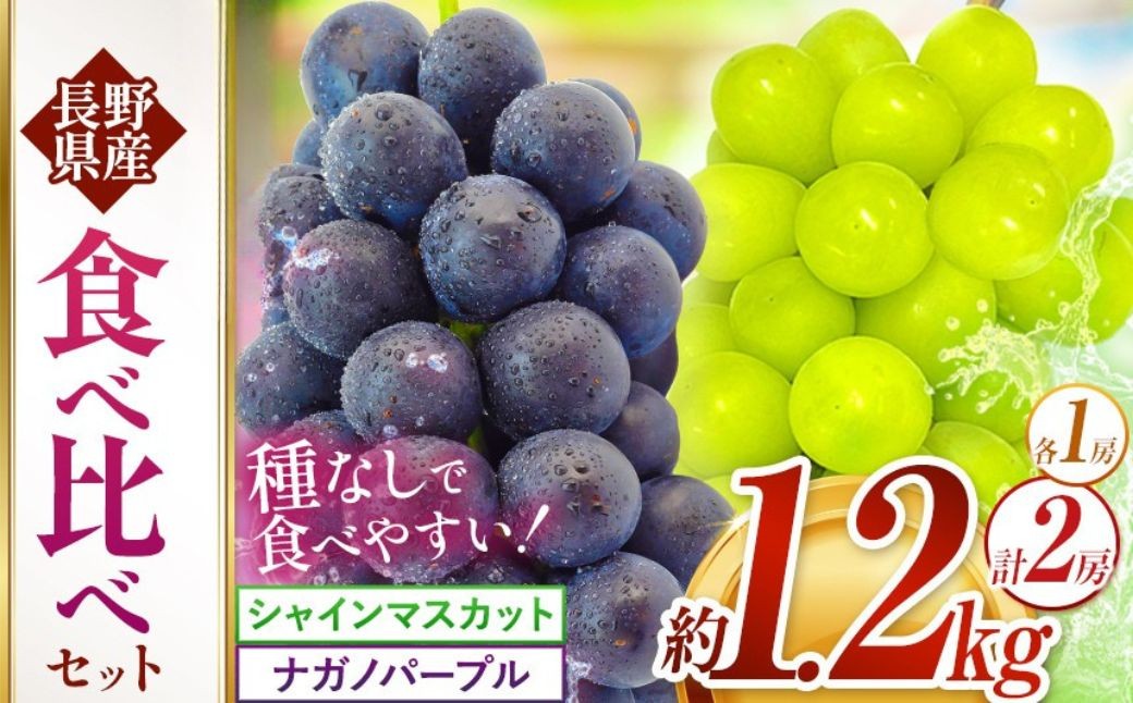 
                  シャインマスカット ナガノパープル 食べ比べ 各1房 計2房 約1200g 農事組合法人田原 ｜ 果物 フルーツ ぶどう 葡萄 ブドウ シャインマスカット ナガノパープル 食べ比べ 種無し 種なし 皮ごと 特産品 伊那市 長野県 信州 先行予約【012-84】
                