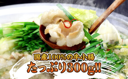 博多もつ鍋セット(九州醤油仕立て) 2～3人前 国産牛もつ300g＜株式会社ベネフィス＞那珂川市[GED043]