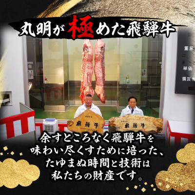 【訳あり】飛騨牛 焼肉　切り落とし 500g【配送不可地域：離島】【1749003】