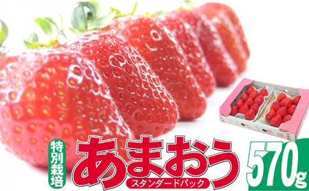 あまおう うるう農園 スタンダード 特別栽培 福岡県産 あまおう【2パック 約570g】【先行予約】