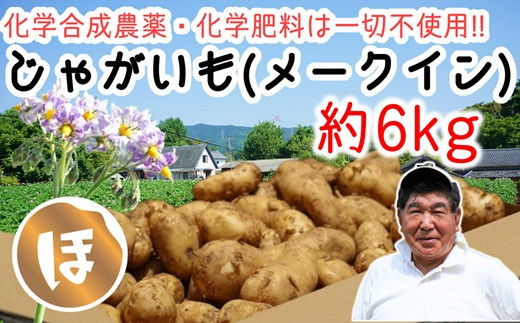 
            稲垣農園の新じゃがいも（メークイン）約6㎏
          
