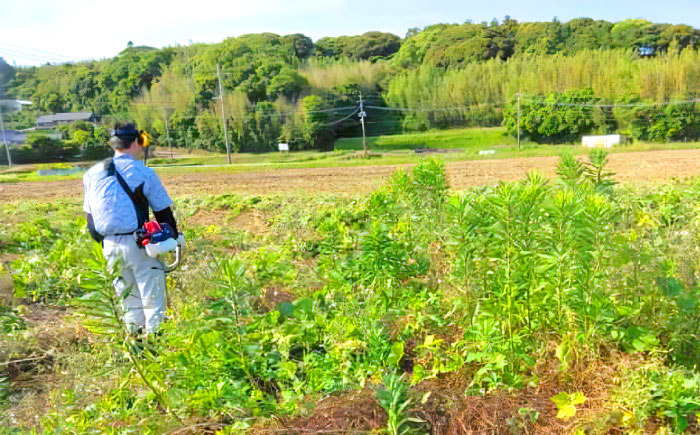 草刈り・墓地清掃・遺品整理等の代行チケット5,000円分《壱岐市》【便利屋とこしえ】 [JGX001]
