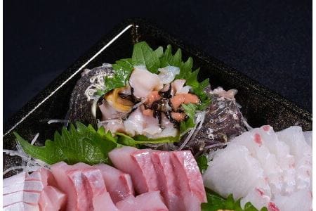 刺身 盛り合わせ 「旬のお刺身盛合せ」冷蔵 刺盛 地魚 2人前 仙崎 新鮮 配達不可エリア有り 新潟 東北 北海道 沖縄 配達不可 配送日時指定必須  (1178)