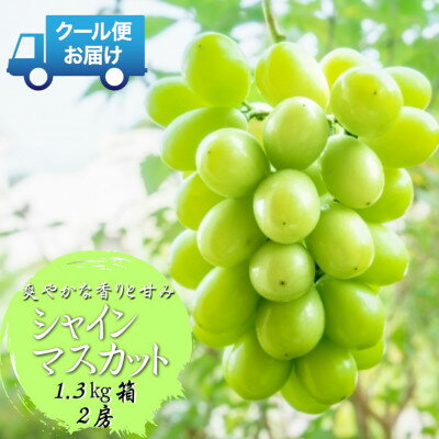 【ふるさと納税】先行予約　2026年発送分　山梨県山梨市　安心のクール便発送　シャインマスカット 1.3kg 　2房【配送不可地域：離島・沖縄県】【1671620】