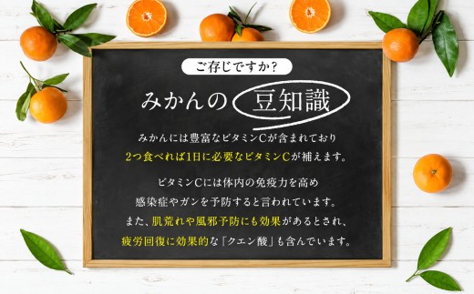 訳あり 小玉みかん 1.8kg | 果物 みかん くだもの みかん フルーツ みかん 柑橘 みかん 柑橘類 みかん ミカン 家庭用 みかん 熊本県 みかん 玉名市 みかん