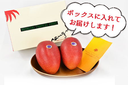 ★ANA限定★2026年発送★数量限定＜宮崎県産 完熟マンゴー B3Lサイズ×2玉＞2026年4月上旬～6月末迄に順次出荷【 ANA限定 ANAオリジナル マンゴー まんごー 完熟マンゴー 宮崎名物 