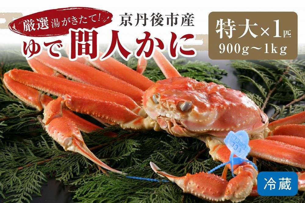 
            【11月発送】厳選湯がきたて！京丹後市産ゆで間人かに　900g～1kg特大サイズ/北畿水産　松葉ガニ 松葉蟹 松葉がに 松葉かに ズワイガニ ボイル カニ 姿 ゆでかに　HK00165
          