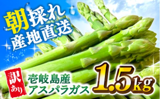 【訳あり】【先行予約】【アスパラガス専門農家が作る！】壱岐産 アスパラガス1.5kg【2027年3月から4月に発送】《壱岐市》【きたじま農園】アスパラ 国産 冷蔵配送 産地直送 朝採れ 新鮮 春の味覚 [JGI005] 10000 10000円 1万円