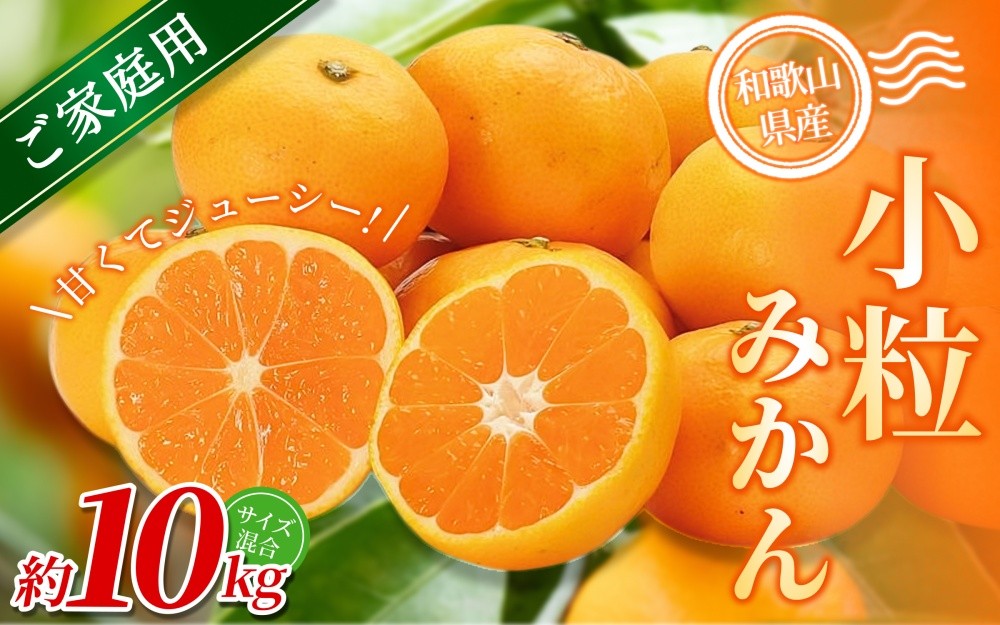 
                  【訳あり・ご家庭用】 森本農園の手選別 小粒みかん 約10kg 和歌山県産 【北海道・沖縄・離島配送不可】【2025年11月上旬～2026年2月中旬ごろに順次発送】【BV-mrmt064】
                