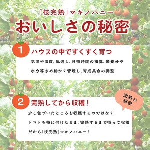 トマト 中玉 900g 以上 マキノハニー 枝完熟 【 トマト 】トマトップ 高 リコピン 