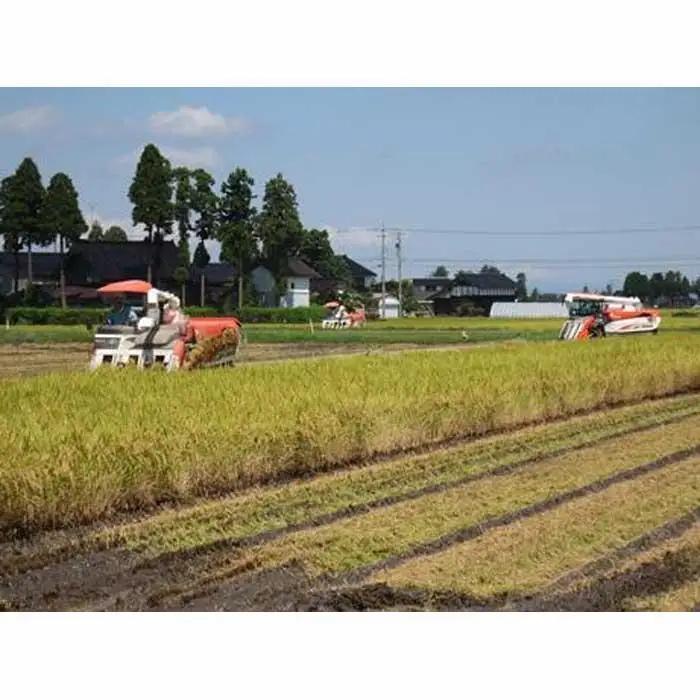 【令和7年産】富山県産こしひかり　育（はぐくみ）白米　5キロ×２個セット《南砺の逸品》