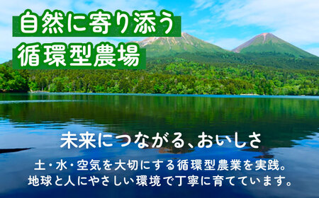 北海道産 じゃがいも＆かぼちゃ 計10kg（じゃがいも6-7kg・かぼちゃ3-4kg）【党崎農場】ジャガイモ じゃがいも かぼちゃ 北海道[BEAA009]
