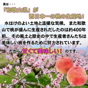 【秀品】和歌山ブランド白桃 約2kg！2024年 7月発送分