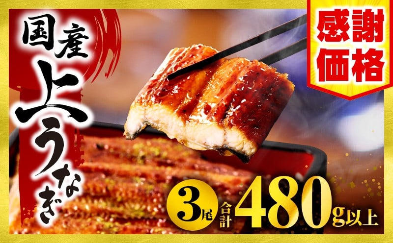国産うなぎ蒲焼3尾(計480g以上) 鰻蒲焼 ウナギ蒲焼用たれ さんしょうのセット(うなぎ1尾160g以上の鰻3尾からなるウナギの詰め合わせ)