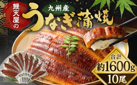 【丑の日／配達日指定可能】鰻天屋の九州産うなぎ 蒲焼 10尾 セット (1尾あたり160～189g)