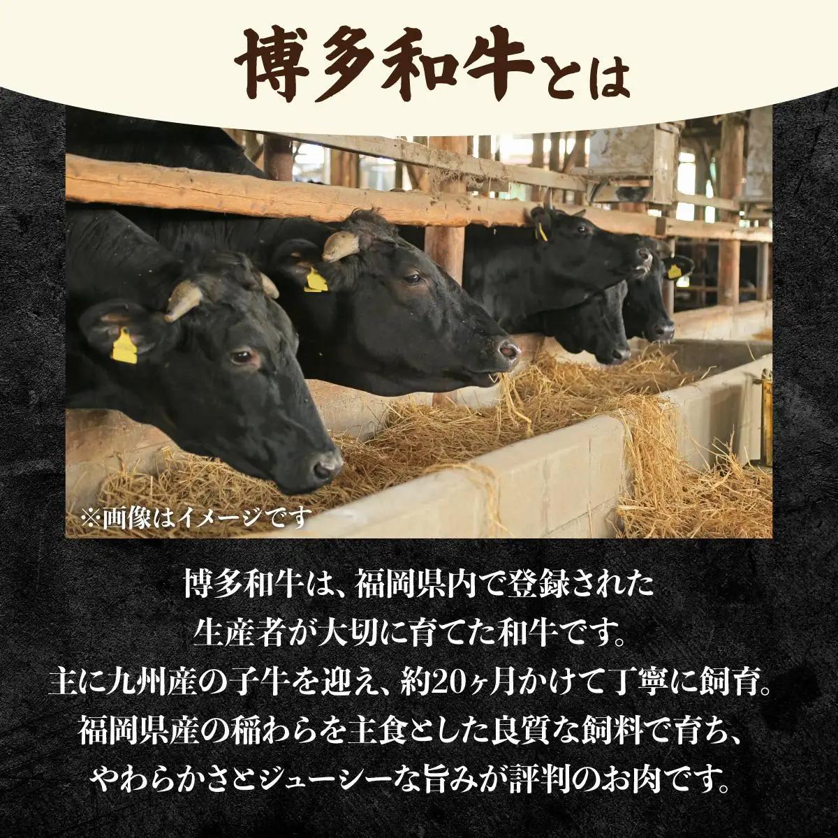 博多和牛 手作り餃子 80個（20個×4p）
