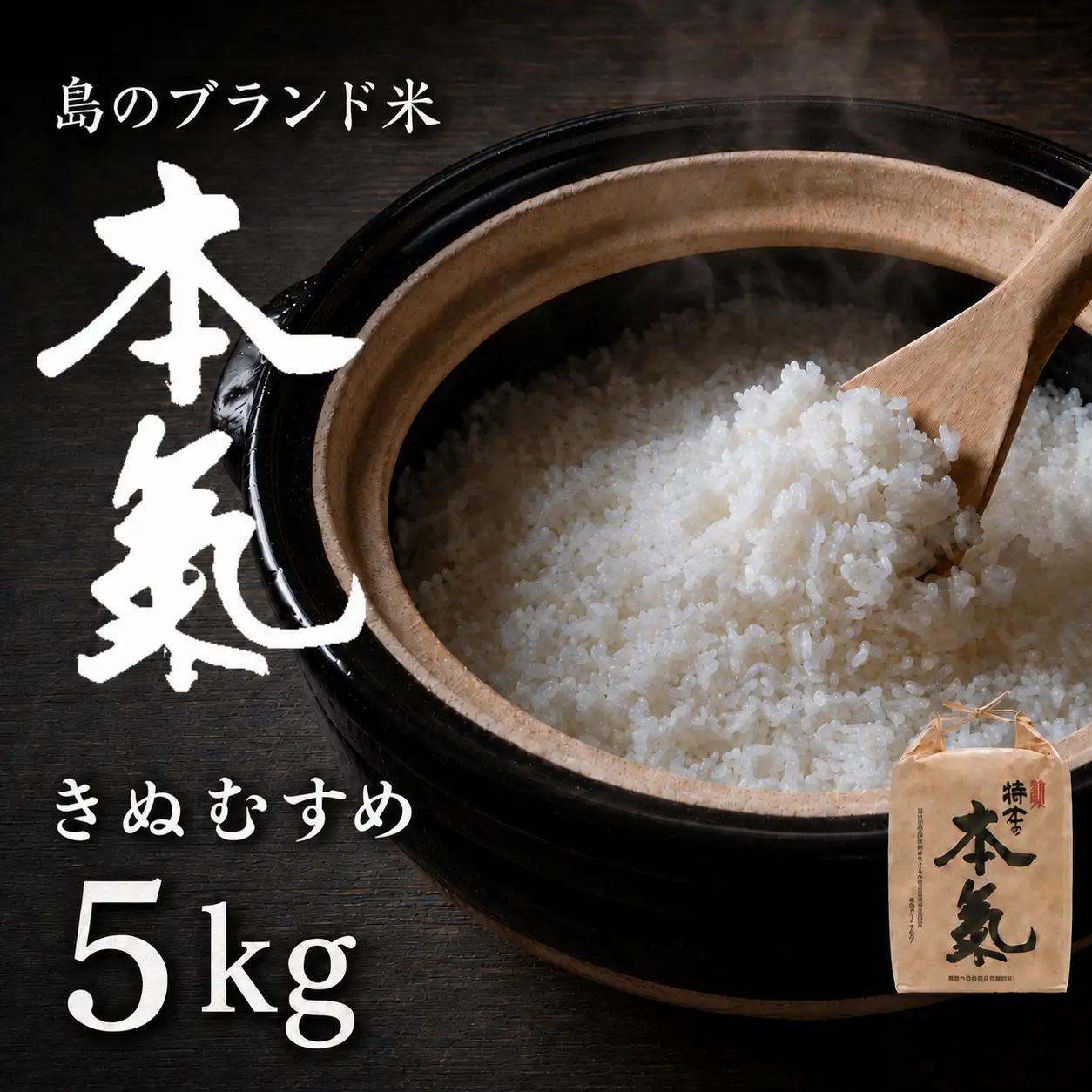 【本氣米5kg：きぬむすめ】甘くてもっちり島のブランド米 本氣米 お米 精米 白米 弁当 ごはん ご飯 おにぎり 年末年始 お正月 お歳暮 御歳暮 ギフト