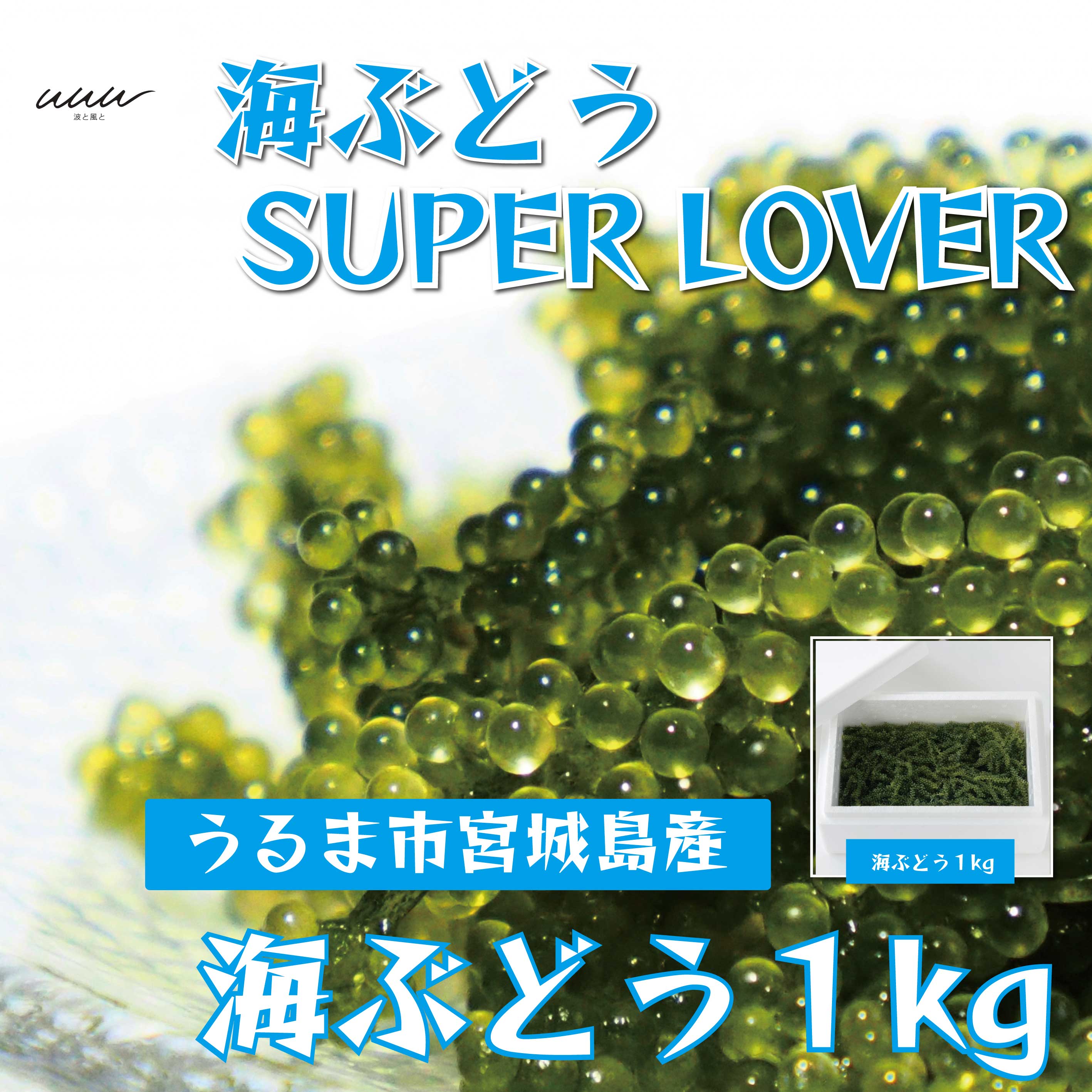 【ふるさと納税】海ぶどうSuperLover　大容量1kgパック【2026年4月より順次発送】　沖縄　ふるさと納税　海ぶどう　ぷちぷち　大容量　サラダ　海鮮丼