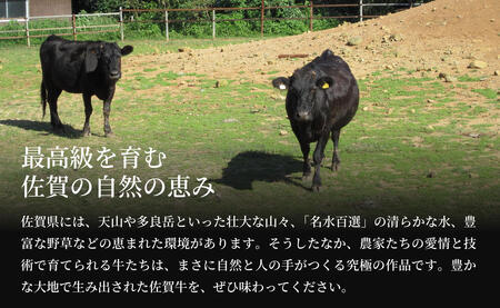 佐賀牛 もも 薄切り （しゃぶしゃぶ用） 500g 【ヘルシーな赤身をお届け！】 しゃぶしゃぶ すきやき すき焼き モモ 牛肉 黒毛和牛 極上の佐賀牛 厳選 うすぎり ウスギリ N19-2