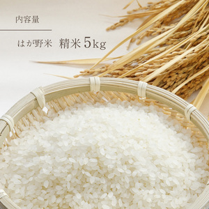 令和7年度 はが野米 こしひかり 5kg 