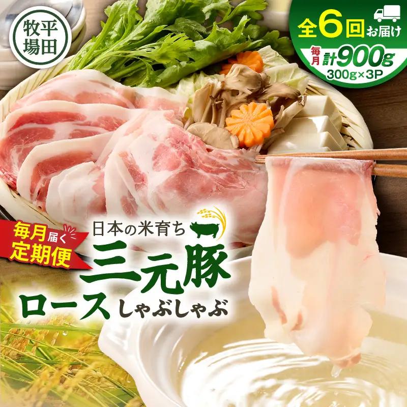 【 全6回 毎月 定期便 】 日本 の 米育ち 平田牧場 三元豚 ロース しゃぶしゃぶ T036-T01-02 肉 豚肉