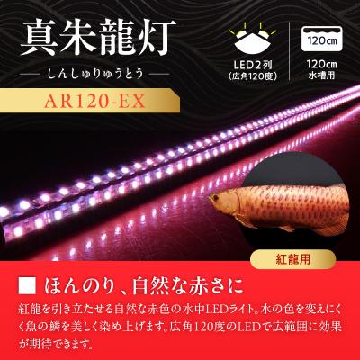 ふるさと納税 小牧市 変化を体感!水を赤くせず、紅龍だけ美しく魅せる水中LEDライト|AR120-EX[172C19] |  | 01