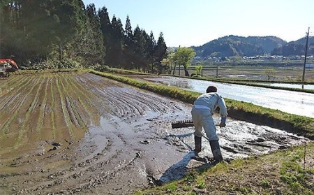 48-3G051【玄米】新潟県長岡産特別栽培米コシヒカリ5kg