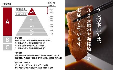 【ふるなびWEEK対象】(冷凍) 大和榛原牛 たれ漬け ／ 黒毛和牛 A5ランク 味付き 野菜炒め 時短レシピ 焼肉 BBQ バーベキュー キャンプ アウトドア 父の日 母の日 手土産 お中元 暑中見