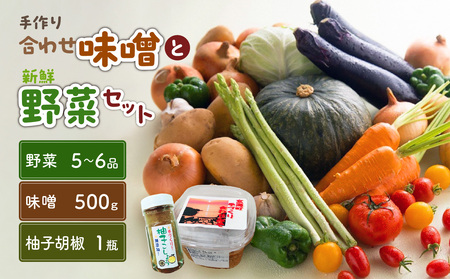 手作り合わせ味噌と新鮮野菜セット【A095】