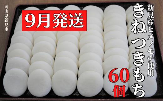 【2025年9月発送】きねつきもち 60個(6個入×10パック)