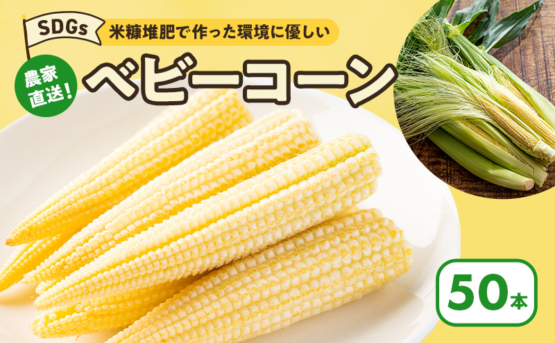 ベビーコーン 農家直送！SDGs米糠堆肥で作った環境に優しい ベビーコーン 50本 べびーこーん ※配送不可：離島