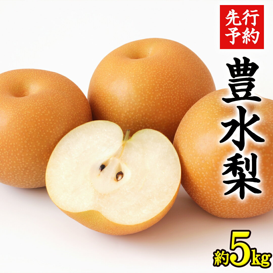 【ふるさと納税】《 先行予約 》 茨城県産 梨 豊水 ( 約5kg )【2026年9月上旬頃より発送開始】 梨 なし 果物 フルーツ 新鮮 旬 期間限定 甘い 国産