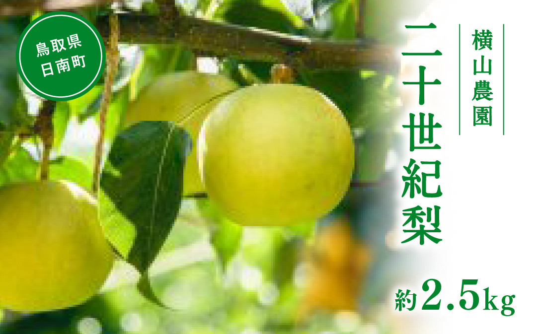 
                  【先行予約】横山農園 二十世紀梨 2.5kg(5～9玉) 梨 なし フルーツ 果物 くだもの 鳥取県 佐治 梨 なし ナシ
                