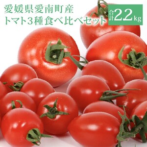 トマト3種食べ比べ アイコ ラブリーさくら フルティカ 約2.2kg 大瀧農園 トマト 完熟トマト 野菜 産地 直送 人気 国産 愛媛県 愛南町 発送期間：2026年3月1日～7月頃まで（※なくなり次第終了）
