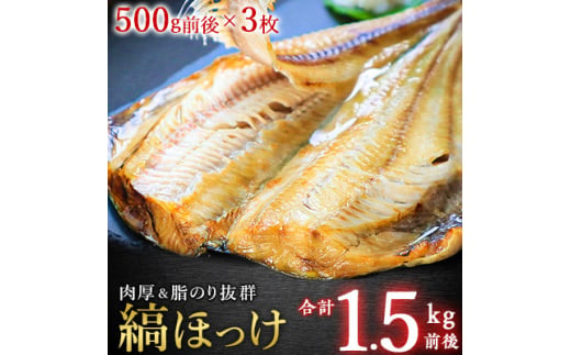 
脂のり自慢! 縞ほっけ 約 500g × 3枚 北海道 ほっけ ホッケ 干物 ギフト プレゼント 贈り物 父の日 お中元 送料無料【1104320】
