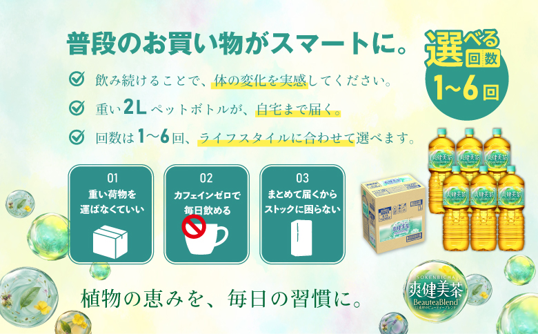 『定期便：全3回』爽健美茶2000mlPET×6本【38000802】