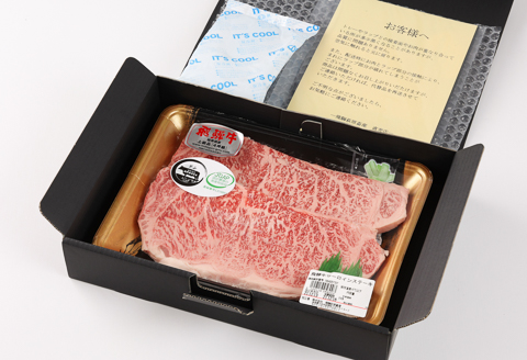 【冷凍】飛騨牛サーロインステーキ  200g×2枚 牛肉 国産 ブランド牛【22-17】