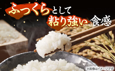 壱岐産米 にこまる 5kg [JDW152] 米 白米