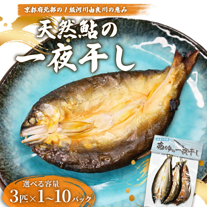 【ふるさと納税】天然鮎 一夜干し 1〜10パック（3匹/パック）【 由良川漁協 あゆ 鮎 アユ 魚 魚介 川魚 海鮮 一夜干し 鮎の一夜干し 干物 天然 熟成 綾部 京都 】
