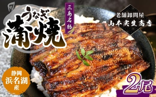 【2026年4月～順次発送】うなぎ蒲焼 2人前 2尾 冷蔵 三島名物 老舗 鰻問屋 うなぎ 蒲焼き 鰻 ウナギ 真空パック 浜名湖 土用丑の日 贈答用 惣菜 うな重 うな丼 伝統 贈り物 鰻料理 ウナギの蒲焼 和食 浜名湖うなぎ 山本実生商店 三島市 静岡県