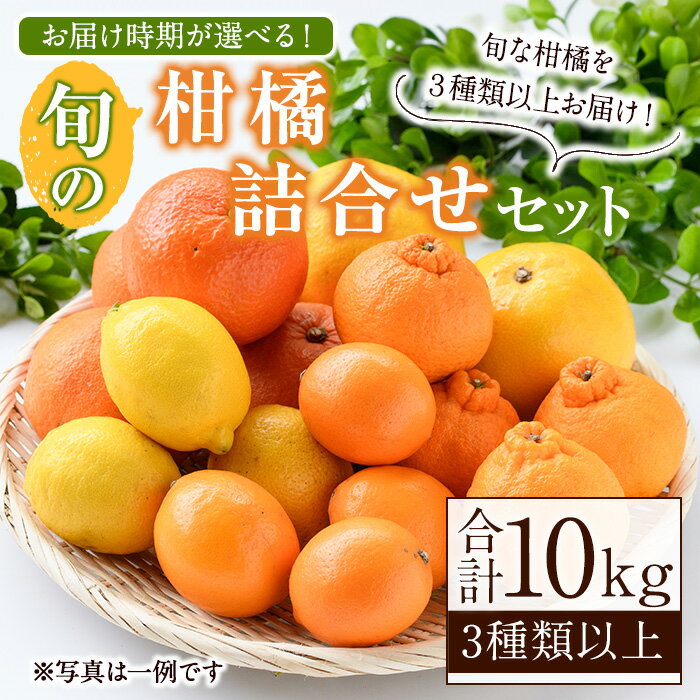 【ふるさと納税】＜先行予約受付中！発送月が選べる！＞旬の柑橘詰合せセット (約10kg) 国産 鹿児島県 阿久根市 果実 果物 フルーツ 柑橘 みかん ミカン 旬 詰め合わせ セット【桐野柑橘株式会社】akn070-16