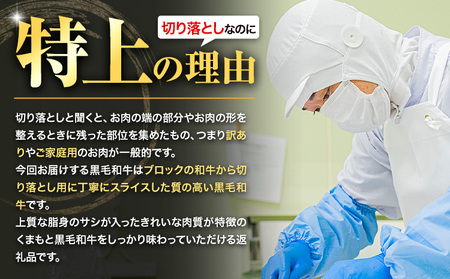 くまもと黒毛和牛 ウデ・モモ 赤身切り落とし 500g (500g×1) 牛肉 冷凍 《7-14日以内に出荷予定(土日祝除く)》冷凍庫 個別 取分け 小分け 個包装 モモ スライス 肉 お肉 しゃぶし
