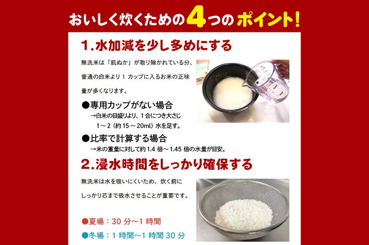 【選べる内容量】 ＜令和7年産＞ 無洗米 こしひかり 4kg タピオカ精米 コシヒカリ こしひかり 米 ごはん コメ お米 白米 精米 精米済み 国産 茨城県産