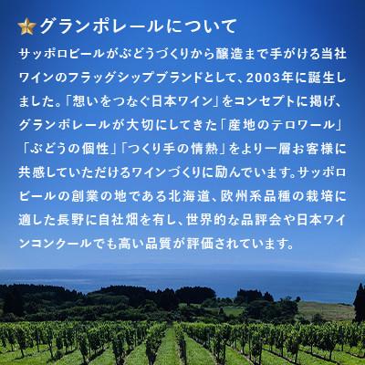 ふるさと納税 北斗市 【サッポロビール発】グランポレール　北斗メルロー2023(日本ワイン・赤)　 |  | 02